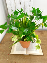 16" Lady Luck Centerpiece