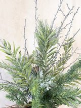 Fresh Winter Greens Drop-In Kit