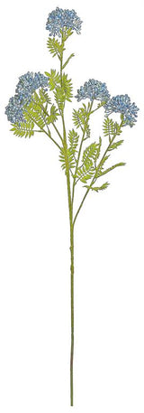 Blue Cluster Seed Spray