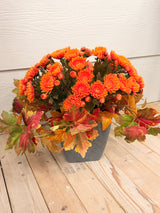 October Flame Step Sitter Kit