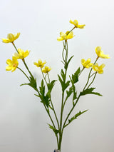 Yellow Mini Cosmos Spray