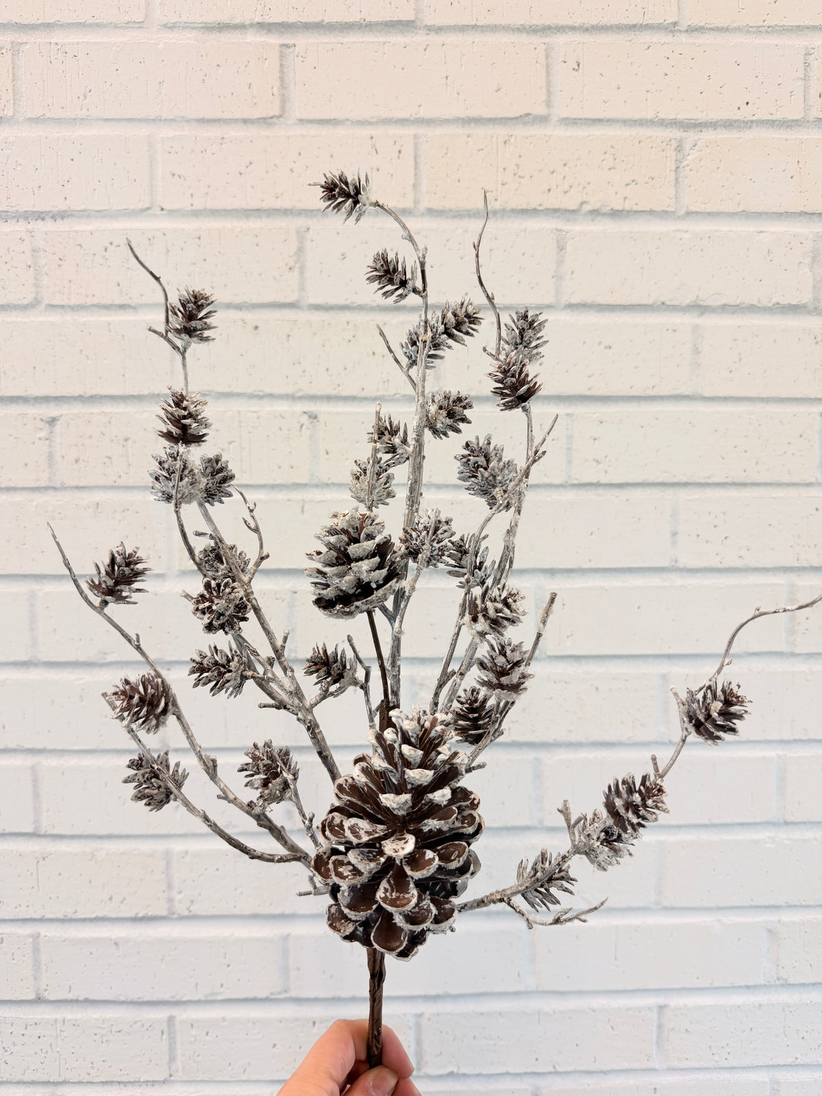 Betty Snow Pinecone Spray