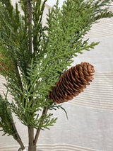 Drama Pinecone Cedar Spray