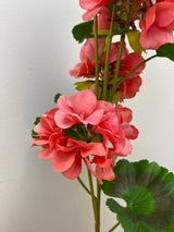 UV Protect Coral Soft Touch Geranium Spray