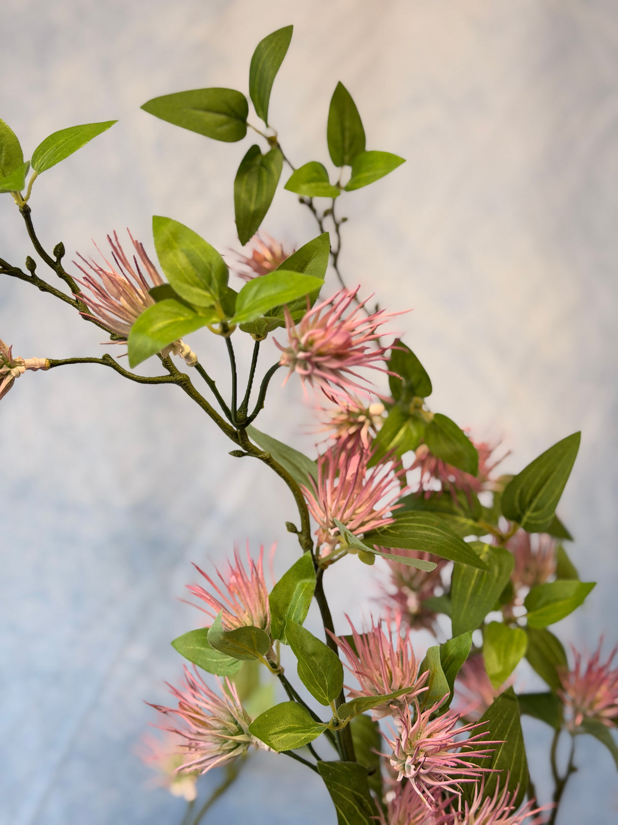 Pink Pine Leaf Spray