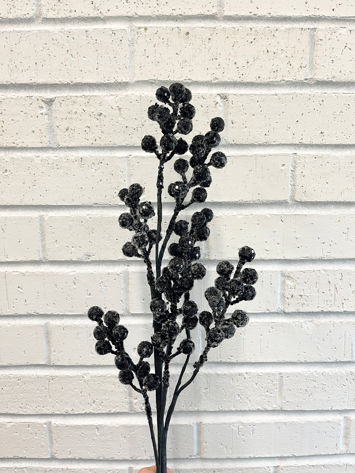 Black Glitter Berry Spray
