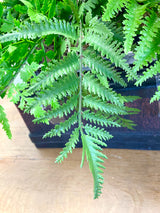 23" Green Goddess Memorial Saddle