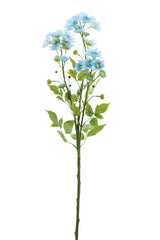 Blue Aster Daisy Spray