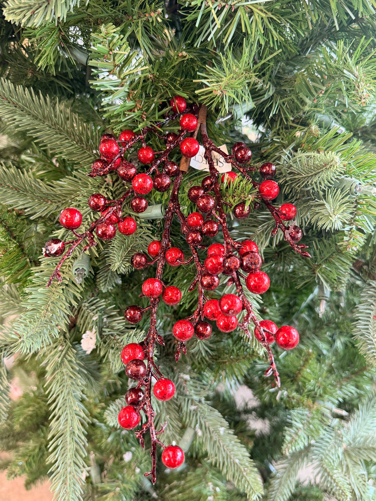 Burgundy Ilex Berry Pick