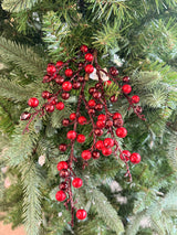 Burgundy Ilex Berry Pick