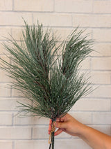 Gray Green Long Needle Pine Bundle