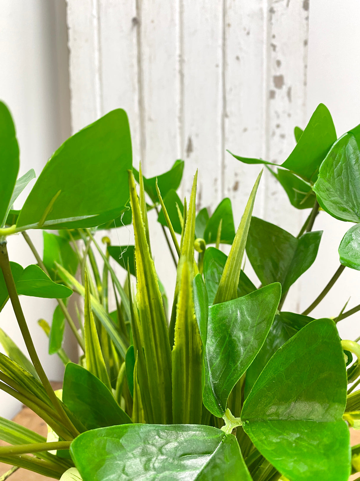 16" Lady Luck Centerpiece