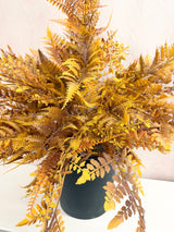 Liberty Fern Bush