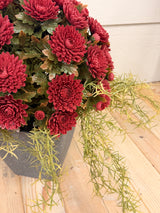 Rustic Mum Bush Step Sitter Kit