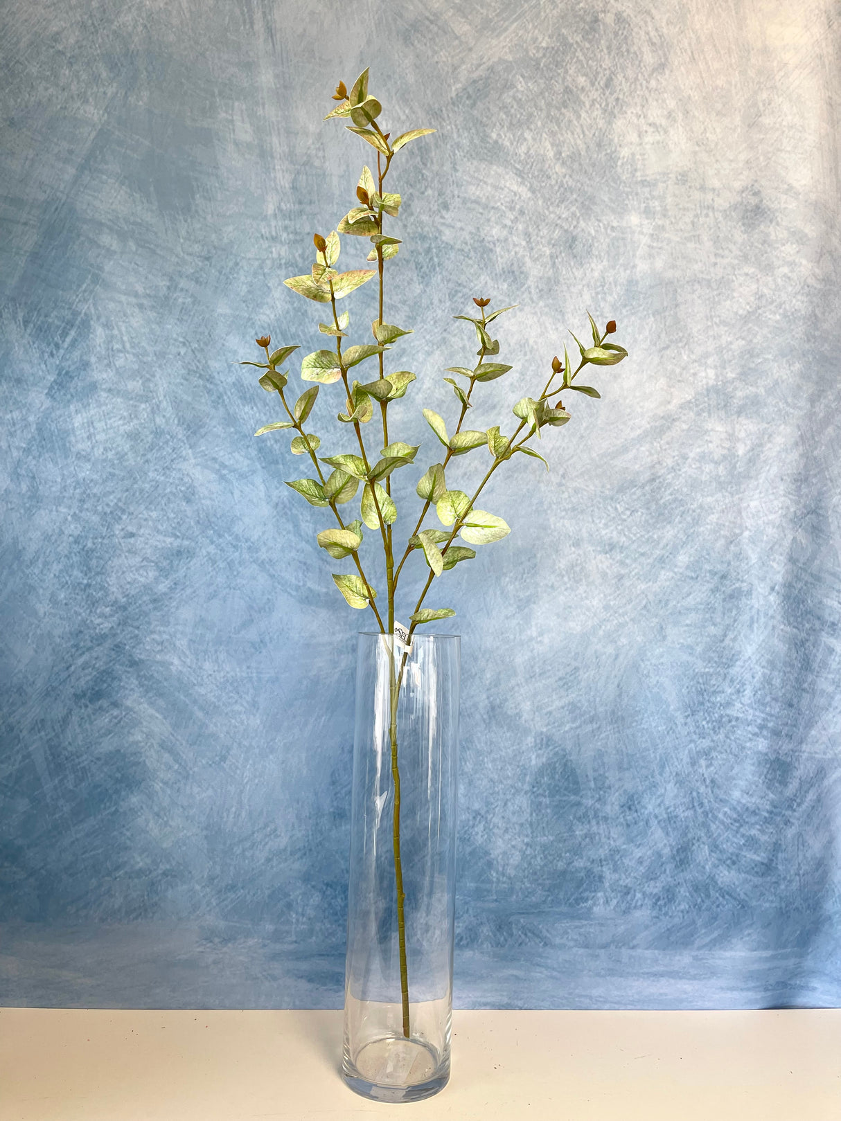 Sage Cider Gum Spray