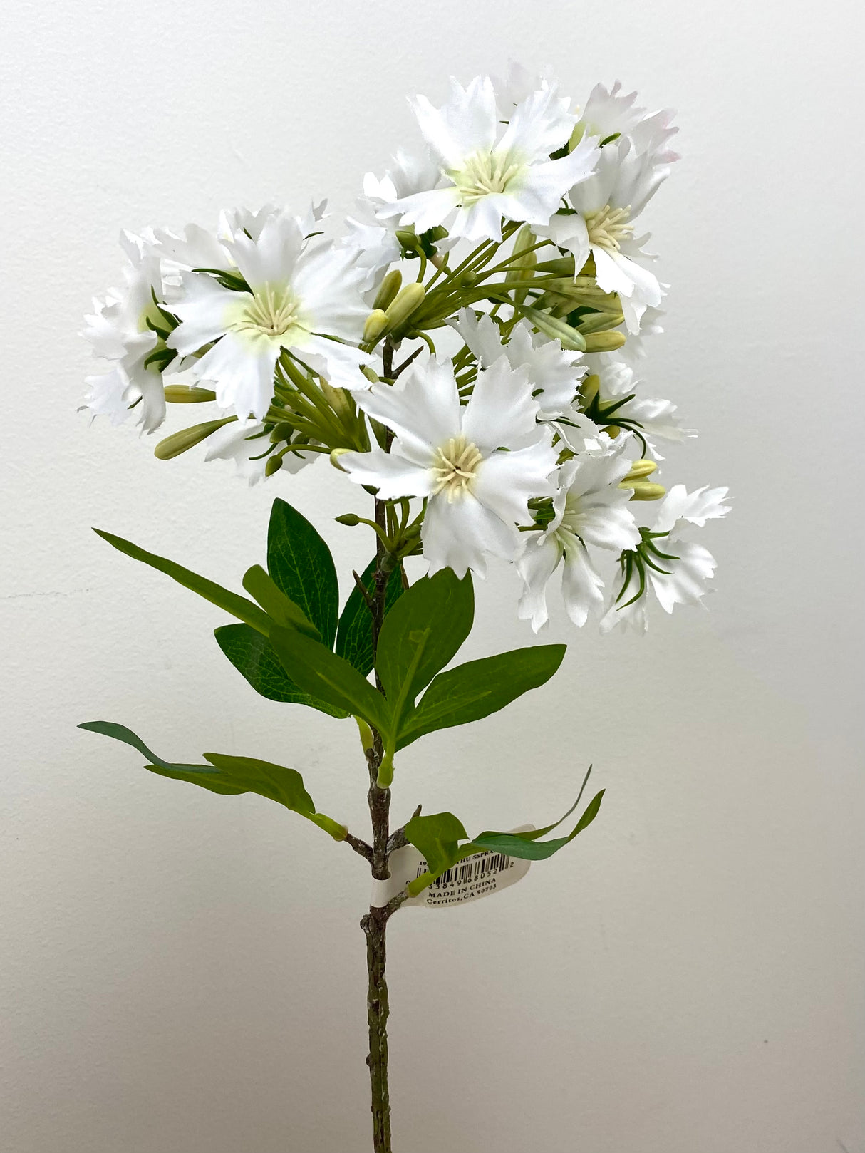 Treasure Dianthus Spray