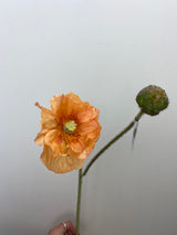 Coral Poppy Spray With Bud