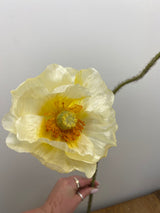 Cream Poppy Spray With Bud