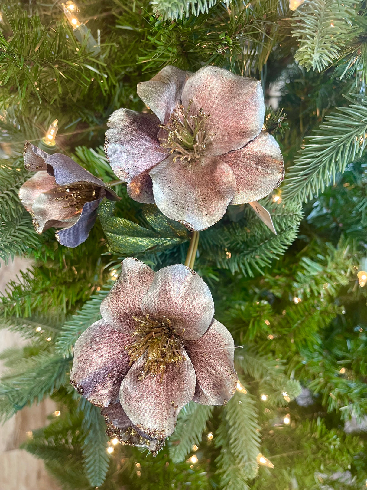 Mauve Christmas Rose Spray