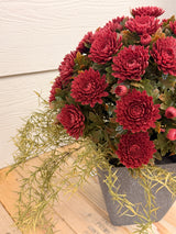 Rustic Mum Bush Step Sitter Kit