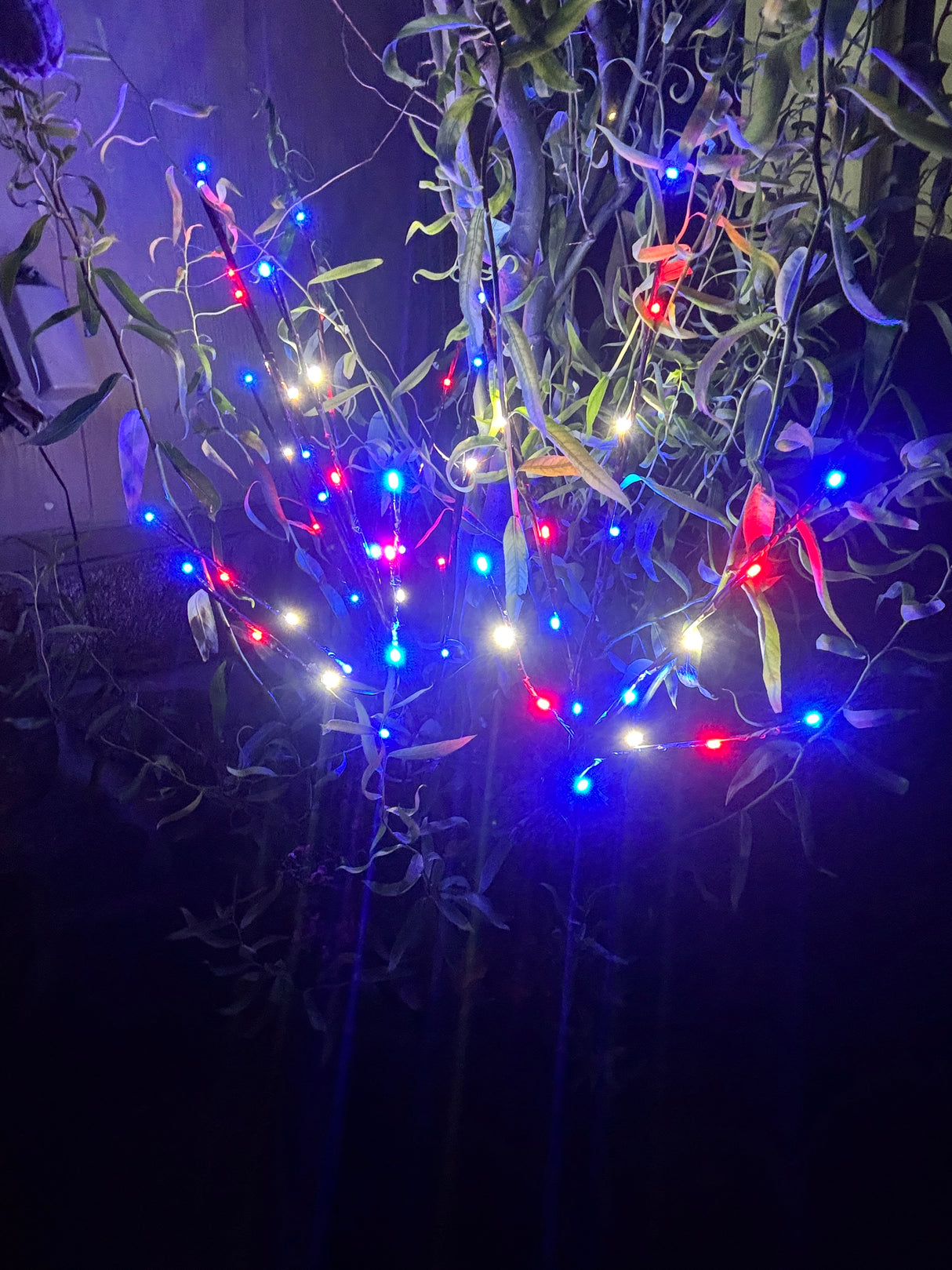 Patriotic Lighted Branch Set