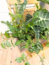 27" Emerald Haven Planter