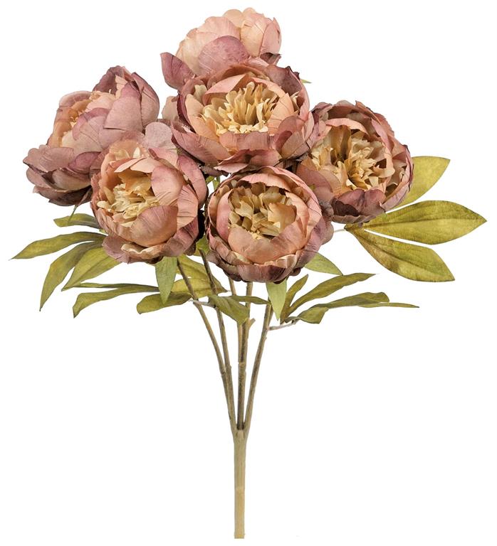 Rose Mauve Autumn Peony Bush