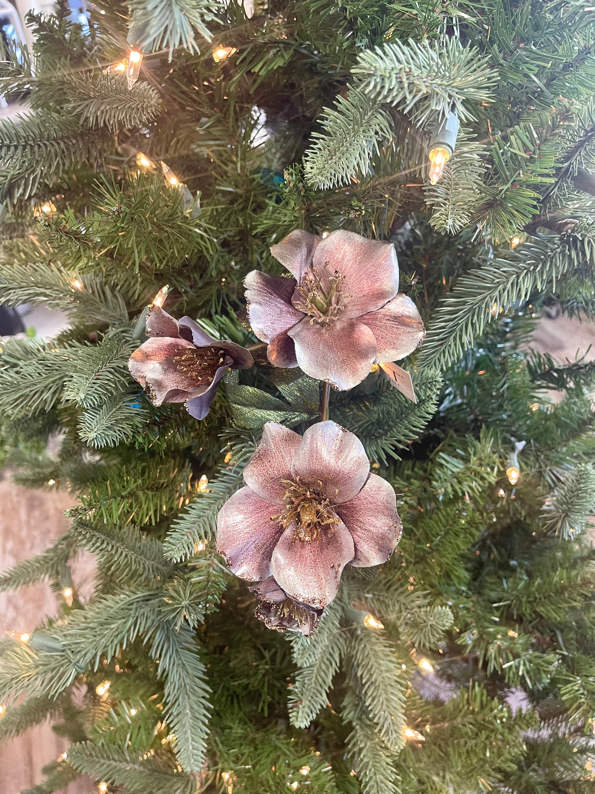 Mauve Christmas Rose Spray