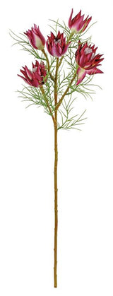 Burgundy Wild Protea Spray