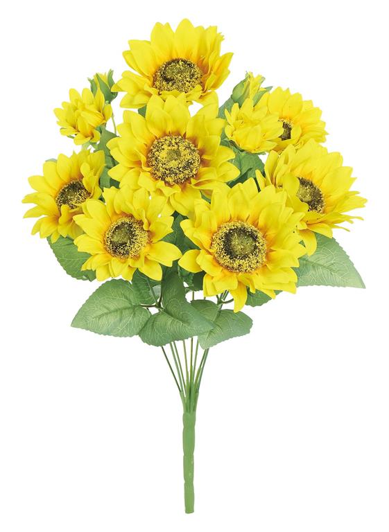 Yellow Sunflower Bush with Buds