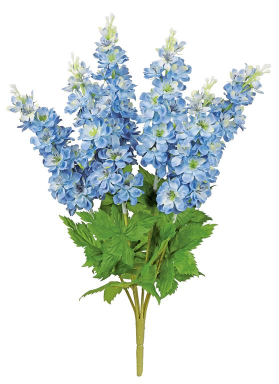 Blue Blooms Delphinium Bush