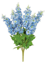 Blue Blooms Delphinium Bush