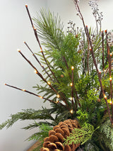 Outdoor Warm White Lighted Branch Set - Plug In