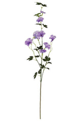 Lavender Morning Glory Spray