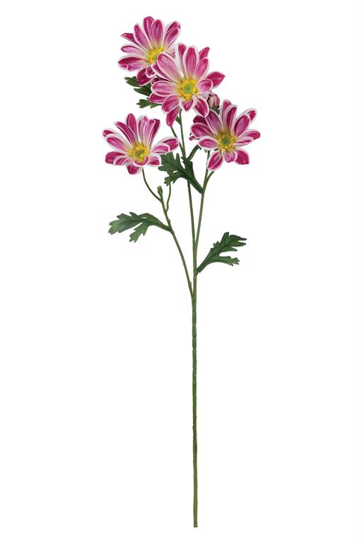 Magenta Garden Daisy Spray