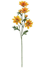 Orange Garden Daisy Spray