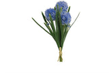 Blue Wild Allium Bundle