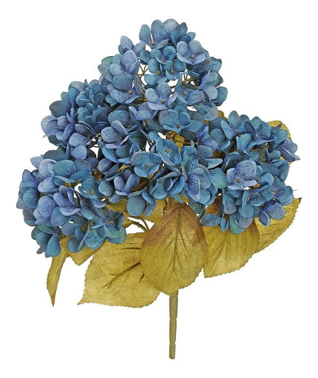 Dark Blue Hydrangea Bush