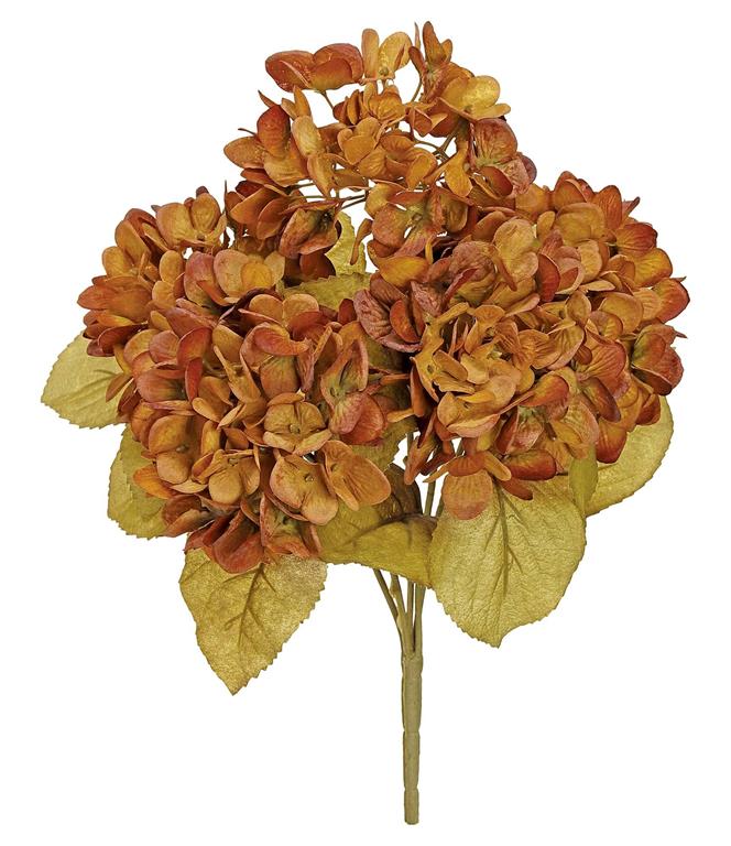 Red Brown Hydrangea Bush