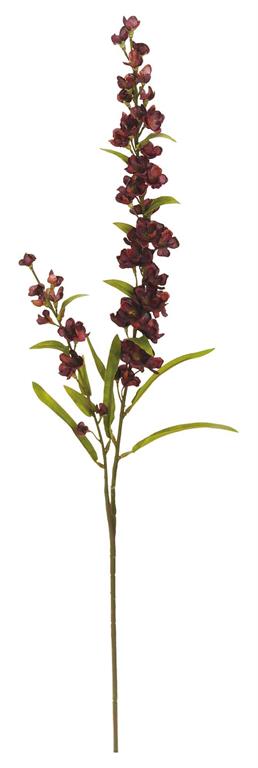 Burgundy Flowering Astilbe Spray