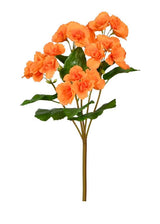 UV Protect Orange Begonia Bush