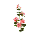 UV Protect Coral Soft Touch Geranium Spray