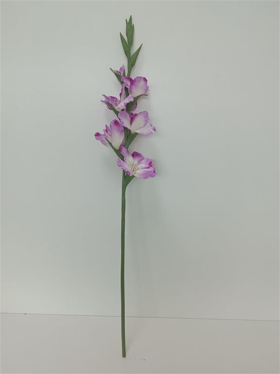 Purple Gladiolus Spray