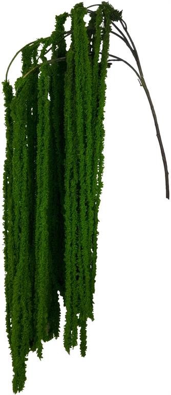 Green Soft Amaranthus Spray