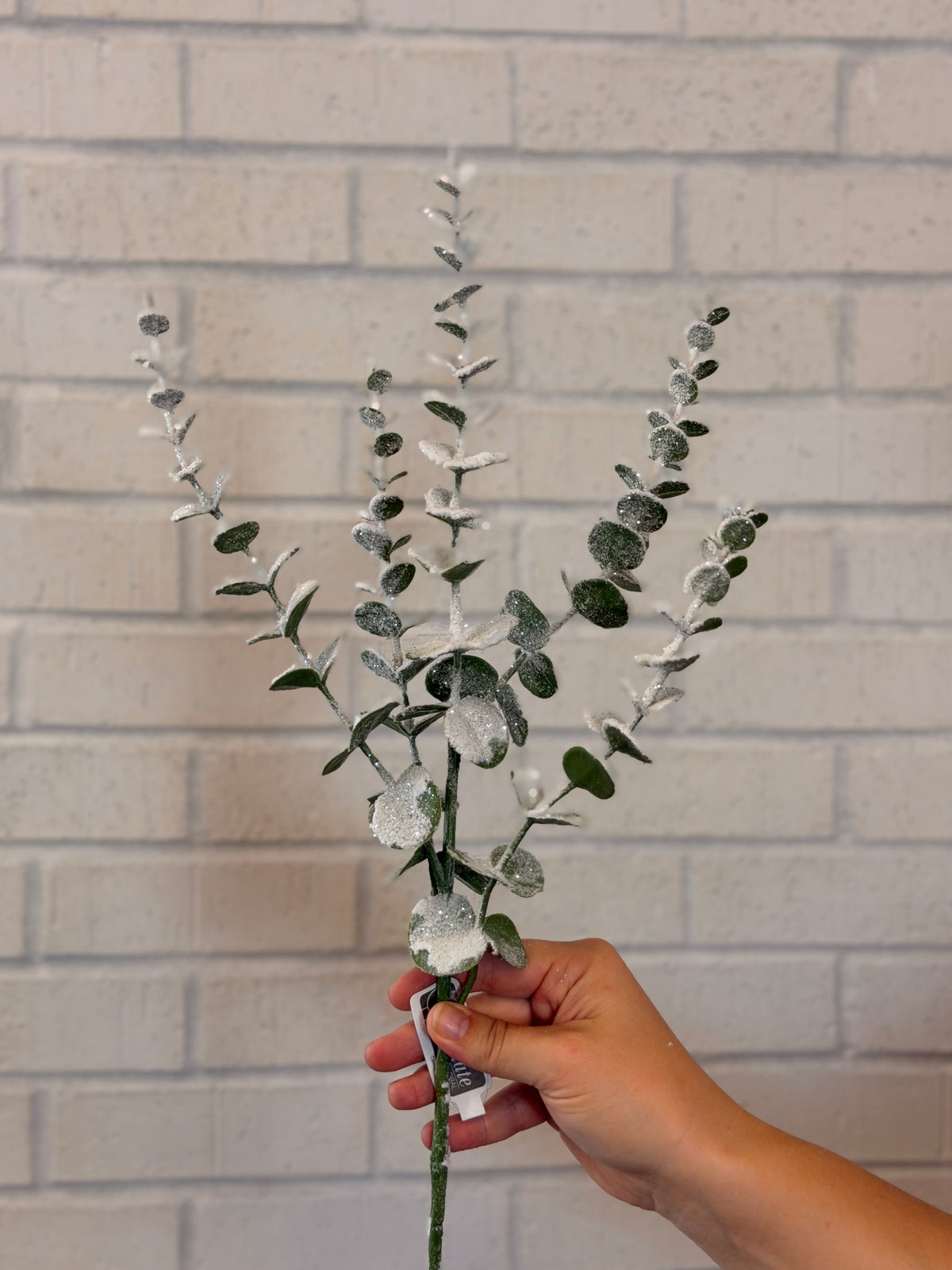 White Snowed Eucalyptus Spray