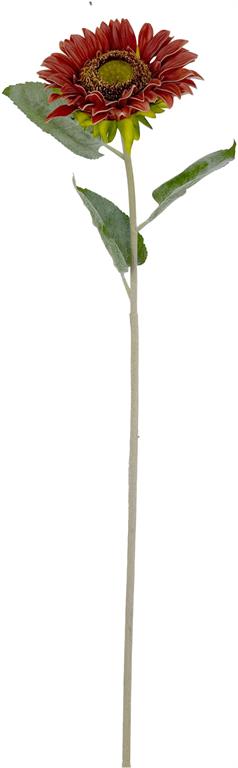 Spice Natural Touch Sunflower Spray