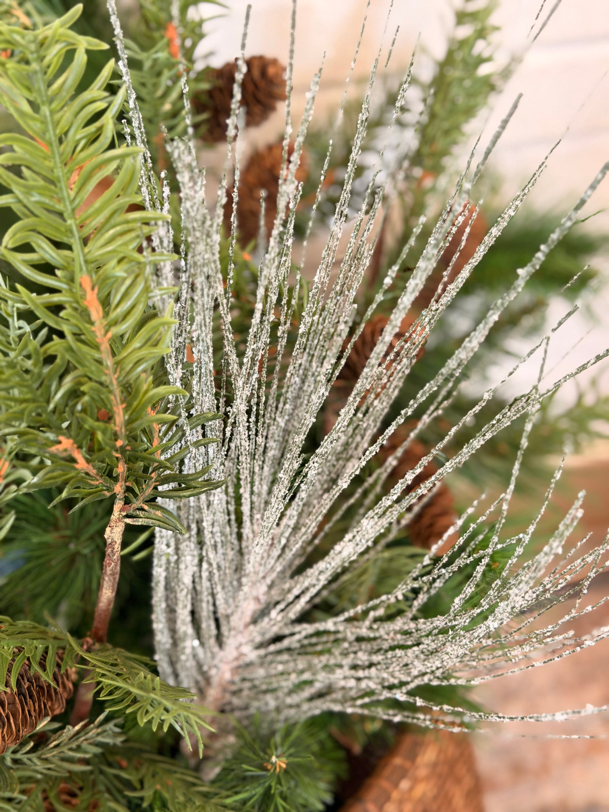 Snowy Long Needle Pine Spray