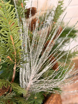 Snowy Long Needle Pine Spray