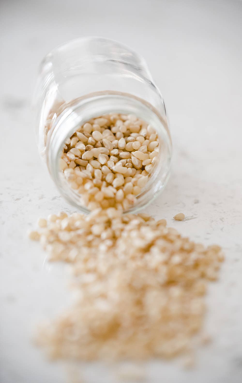 14oz Bottle of Medium White Hulless Popcorn