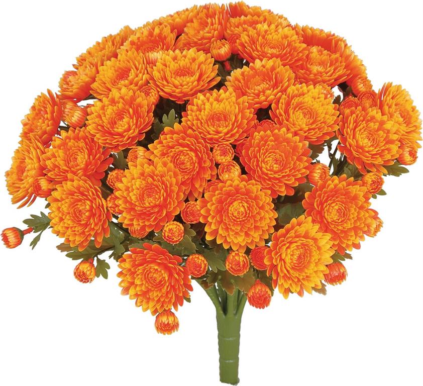UV Protect Flame Mum Bush